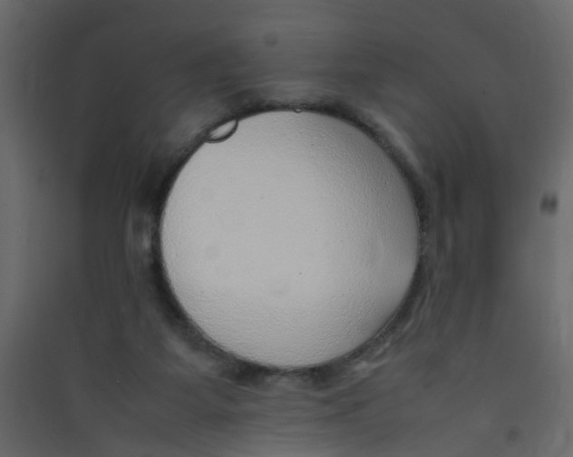 X0000089460115200707131957