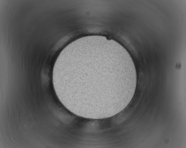 X0000089460116200707131957