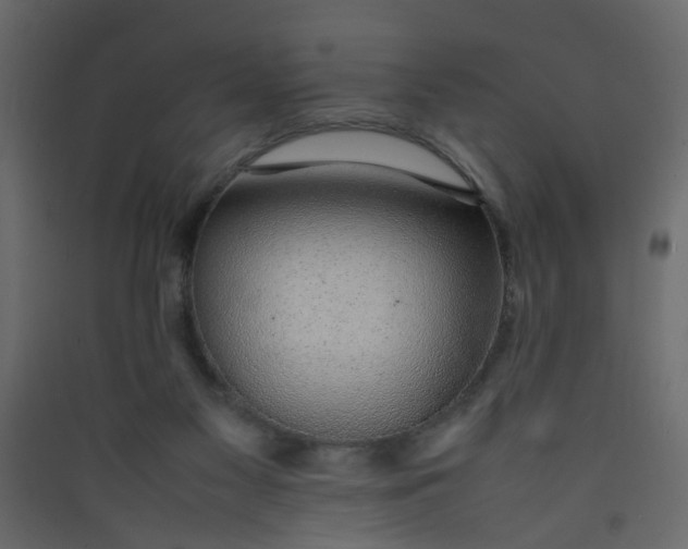 X0000089460117200707131957