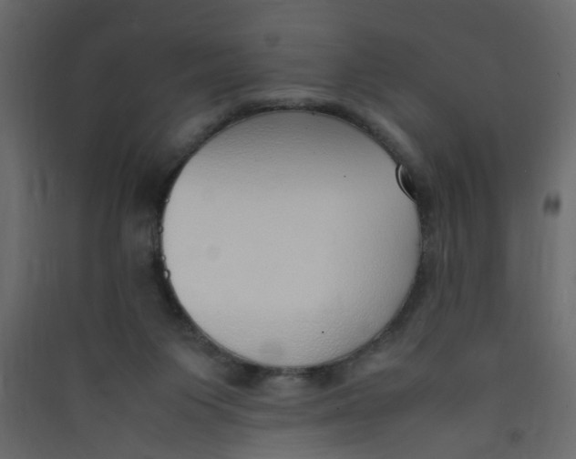 X0000089460119200707131957