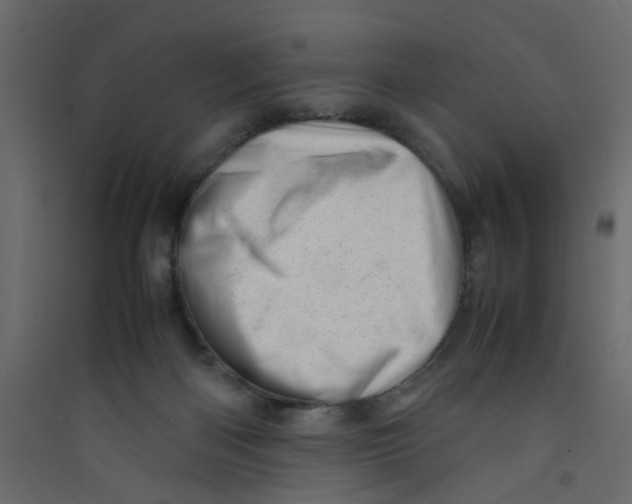 X0000089460122200707131957