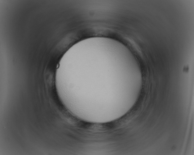 X0000089460123200707131957