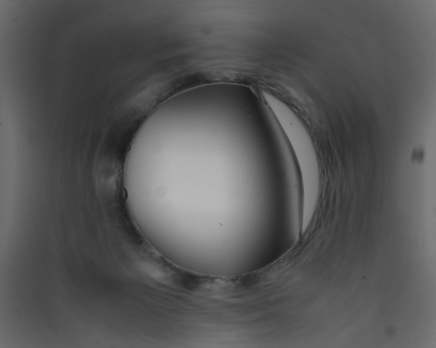 X0000089460125200707131957