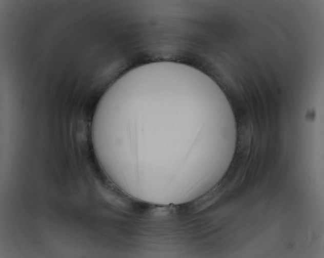 X0000089460126200707131957