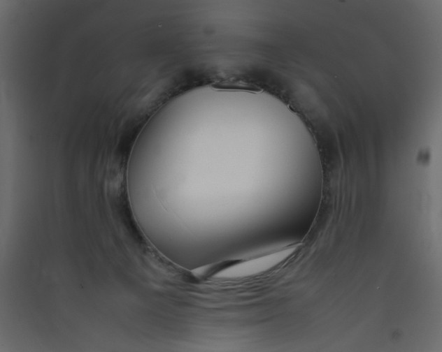 X0000089460129200707131957