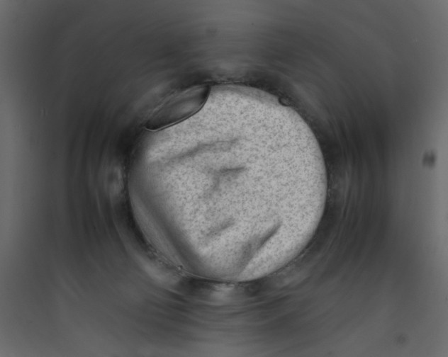 X0000089460130200707131957