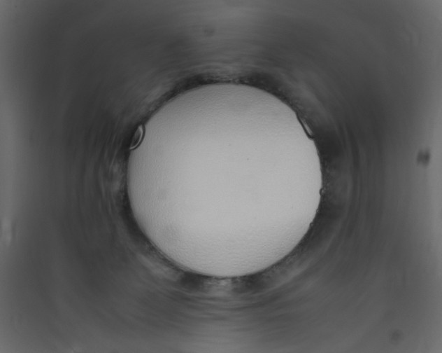 X0000089460131200707131957