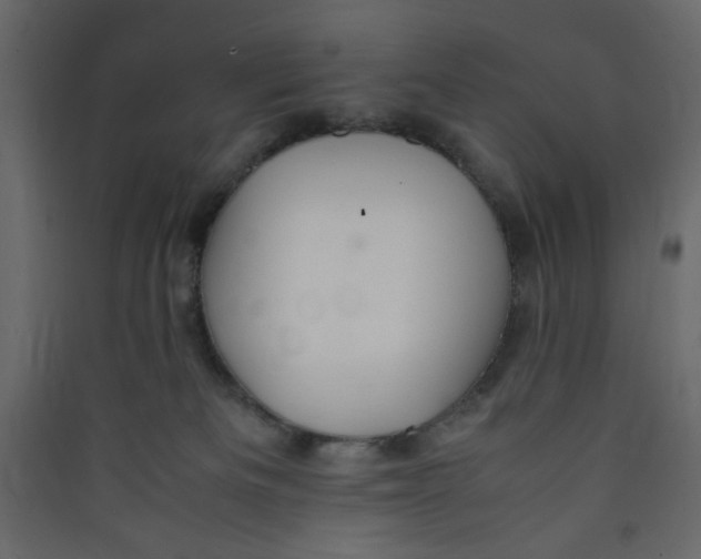 X0000089460133200707131957