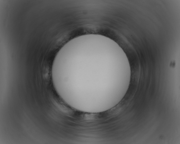 X0000089460134200707131956