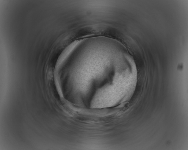 X0000089460137200707131956