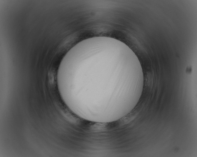 X0000089460138200707131956