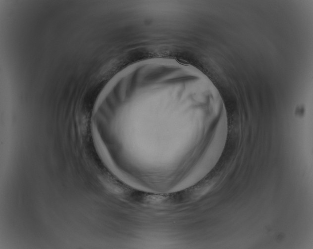 X0000089460139200707131956