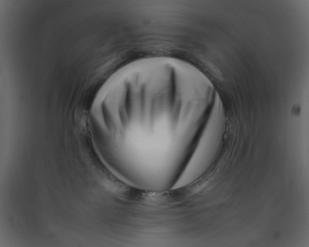 X0000089460141200707131956