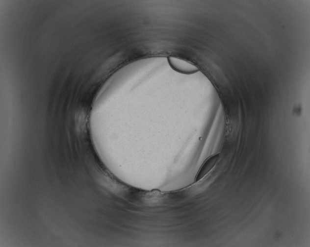 X0000089460142200707131956