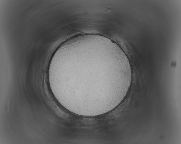 X0000089460145200707131956