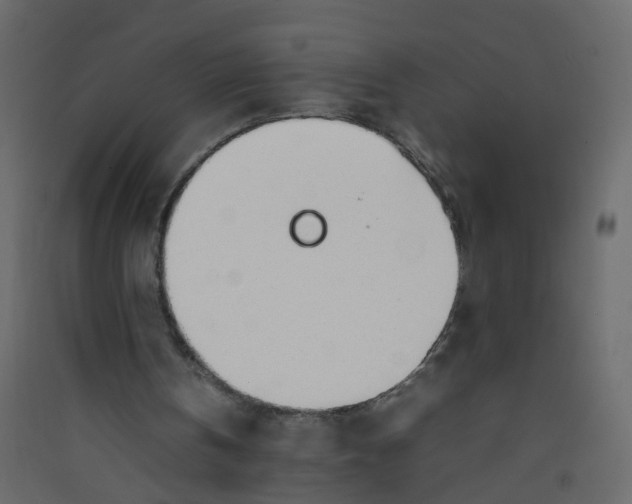 X0000089460146200707131956