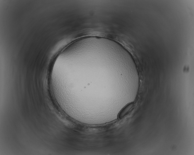 X0000089460149200707131956