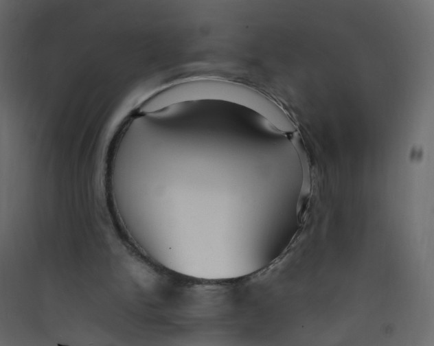 X0000089460150200707131956