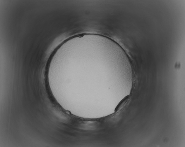 X0000089460151200707131956