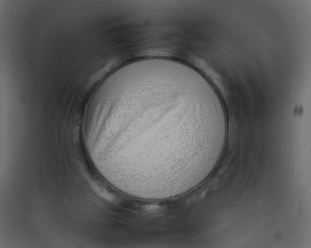 X0000089460153200707131956