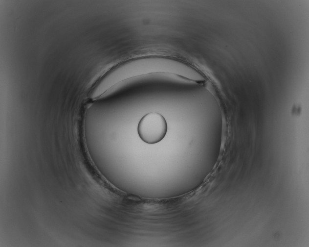 X0000089460154200707131956