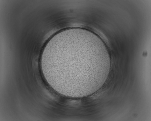 X0000089460155200707131956