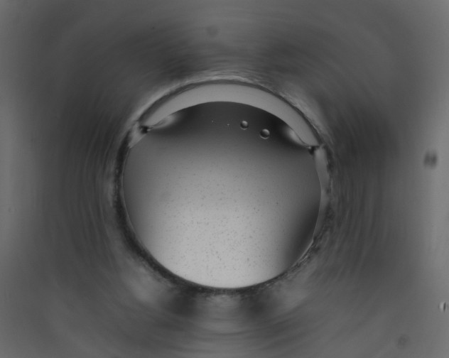 X0000089460156200707131956