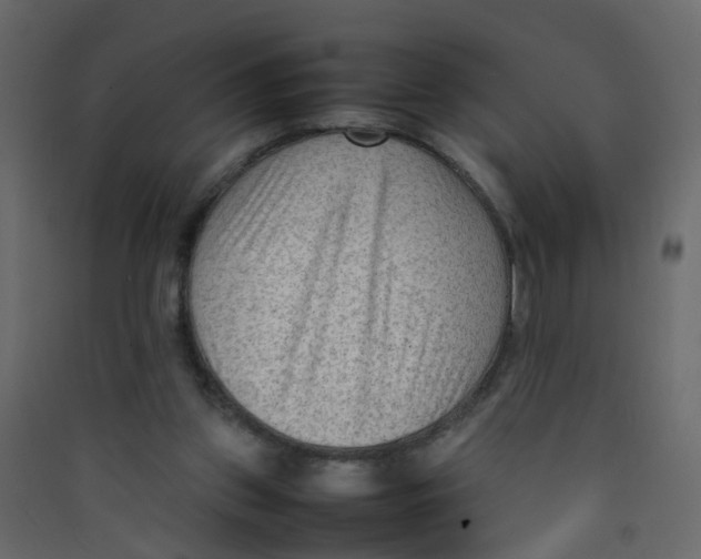 X0000089460157200707131956