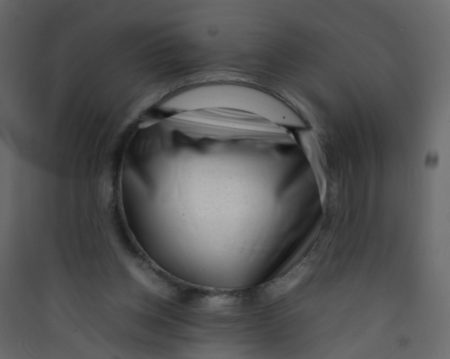 X0000089460158200707131956