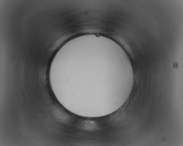 X0000089460159200707131956