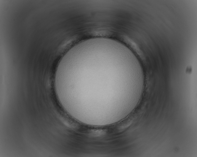 X0000089460161200707131956