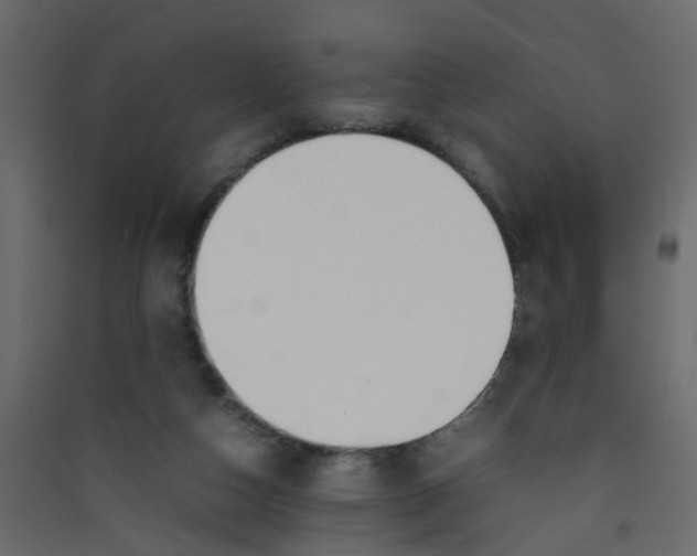 X0000089460162200707131956