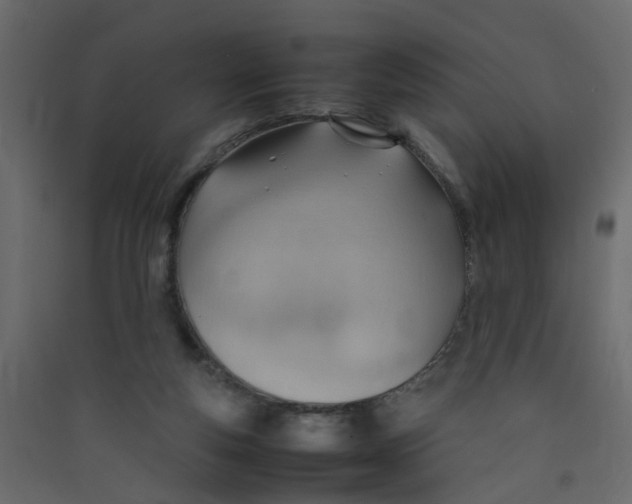 X0000089460163200707131956