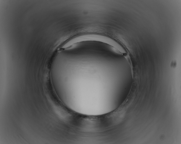 X0000089460164200707131956