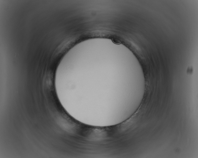 X0000089460166200707131956