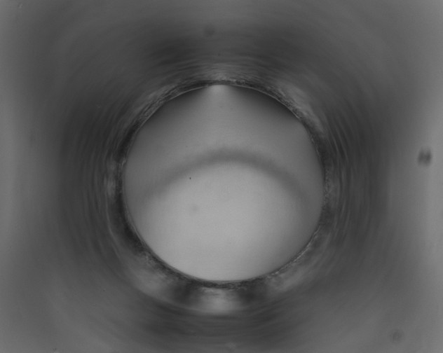 X0000089460167200707131956