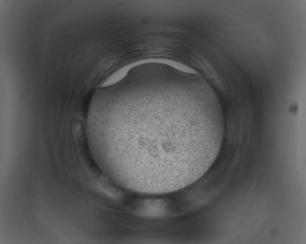 X0000089460169200707131956