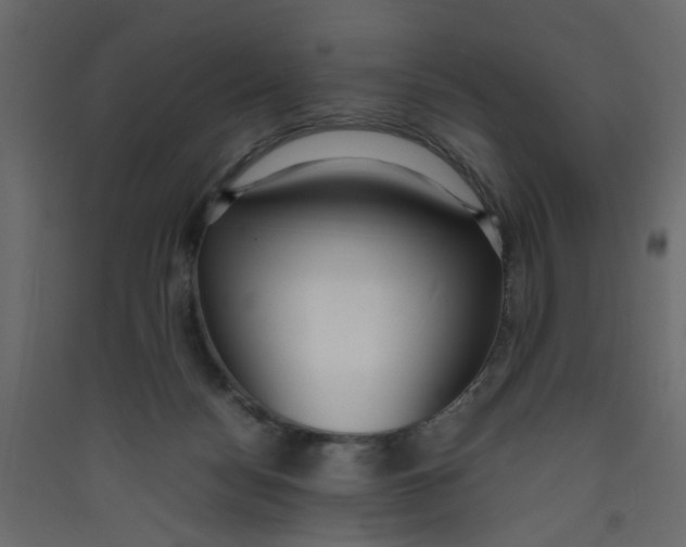 X0000089460172200707131956