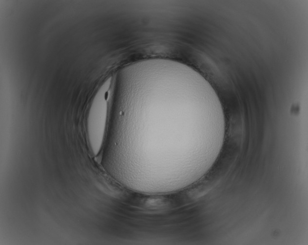 X0000089460173200707131956