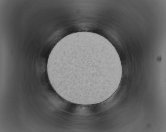 X0000089460174200707131956