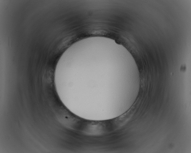 X0000089460175200707131956