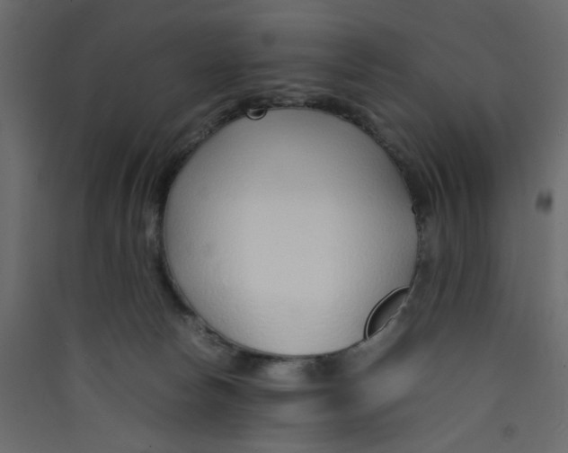 X0000089460178200707131956