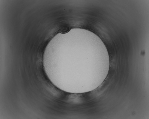 X0000089460179200707131956