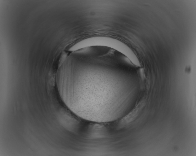 X0000089460180200707131956