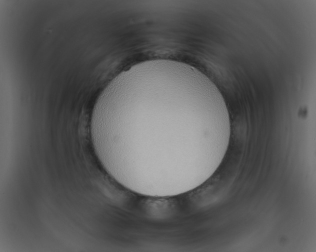 X0000089460181200707131956