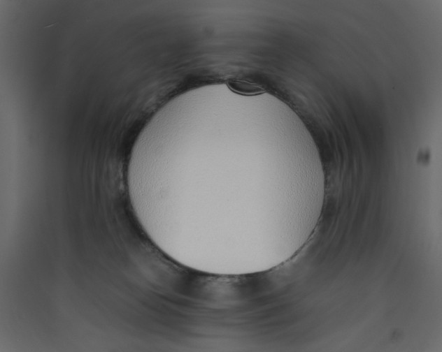 X0000089460182200707131956