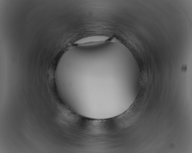 X0000089460184200707131956