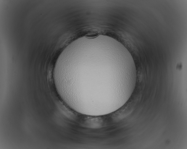 X0000089460185200707131956