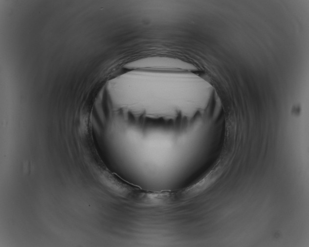 X0000089460188200707131956