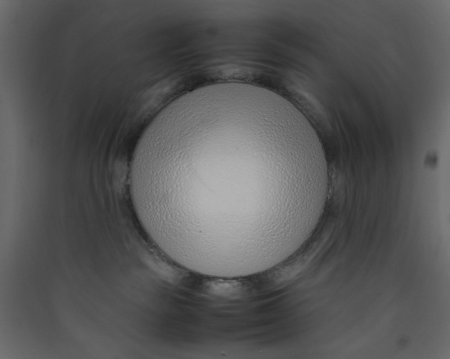 X0000089460189200707131956